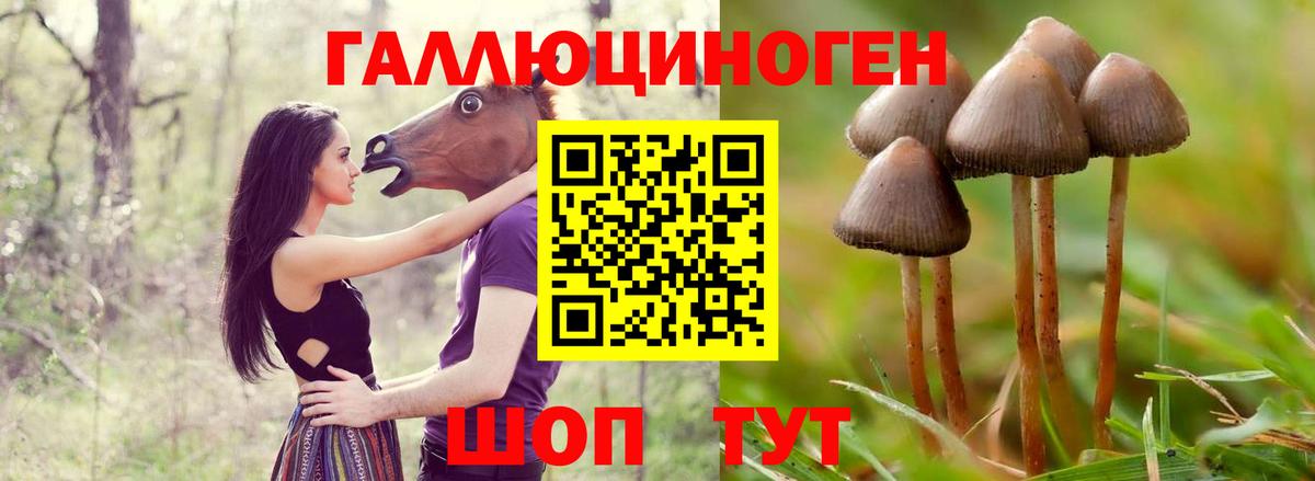 Галлюциногенные грибы Magic Shrooms Валуйки